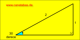 sinus