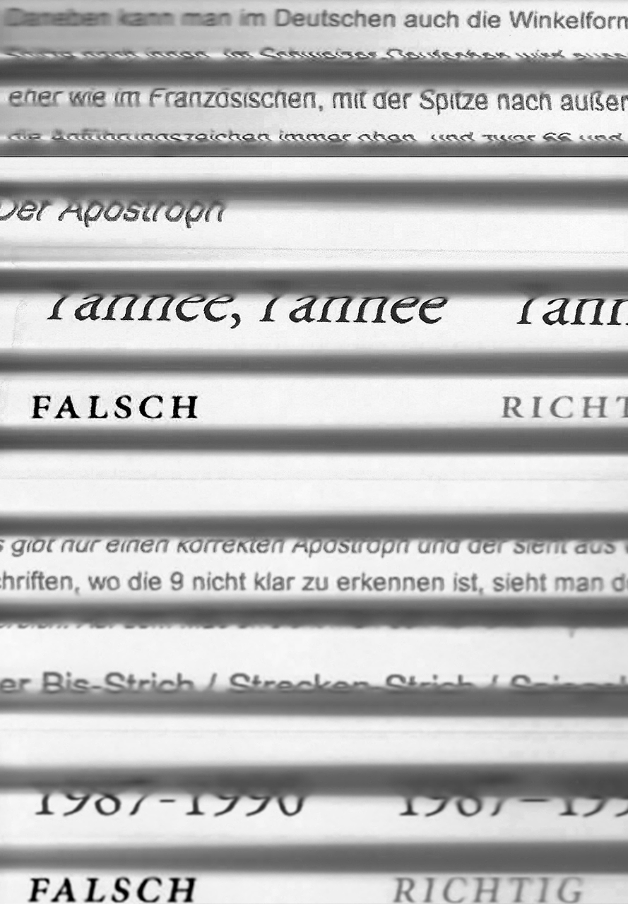 Buch Scan Typografisch