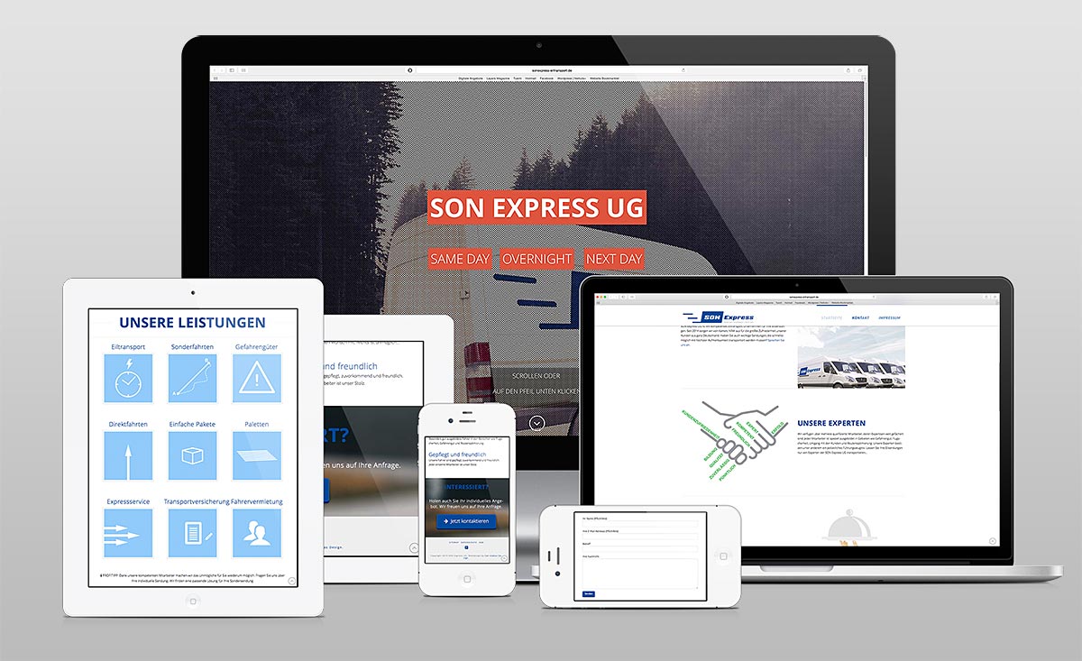 SON Express Webdesign Vorschau